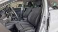 Skoda Octavia Combi 1.5 TSI Clever *AHK*Navi*LED* Weiß - thumbnail 9