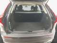 Volvo XC60 XC60 B4 D AWD Plus Dark Grau - thumbnail 8
