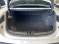 Porsche Taycan Performance Battery Plus - IVA Esposta Bianco - thumbnail 9