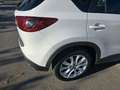 Mazda CX-5 CX-5 2.2DE Luxury P.Safety TS 4WD 175 Aut. Luxury Pack Safety   Techo Solar Blanco - thumbnail 6