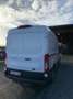 Ford Transit 2.0 TDCi L2H2 Trend (EUVI) Wit - thumbnail 2