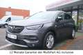 Opel Grandland X Automatik Leder LED SHZG AHK PDC Gris - thumbnail 1