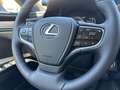 Lexus ES 300 h Business Line *LED*CarPlay*SmartKey*SHZ* Beige - thumbnail 13