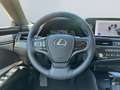 Lexus ES 300 h Business Line *LED*CarPlay*SmartKey*SHZ* Beige - thumbnail 12