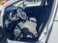 Fiat Punto Evo Bianco - thumbnail 4