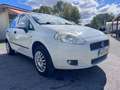 Fiat Punto Evo Bianco - thumbnail 2