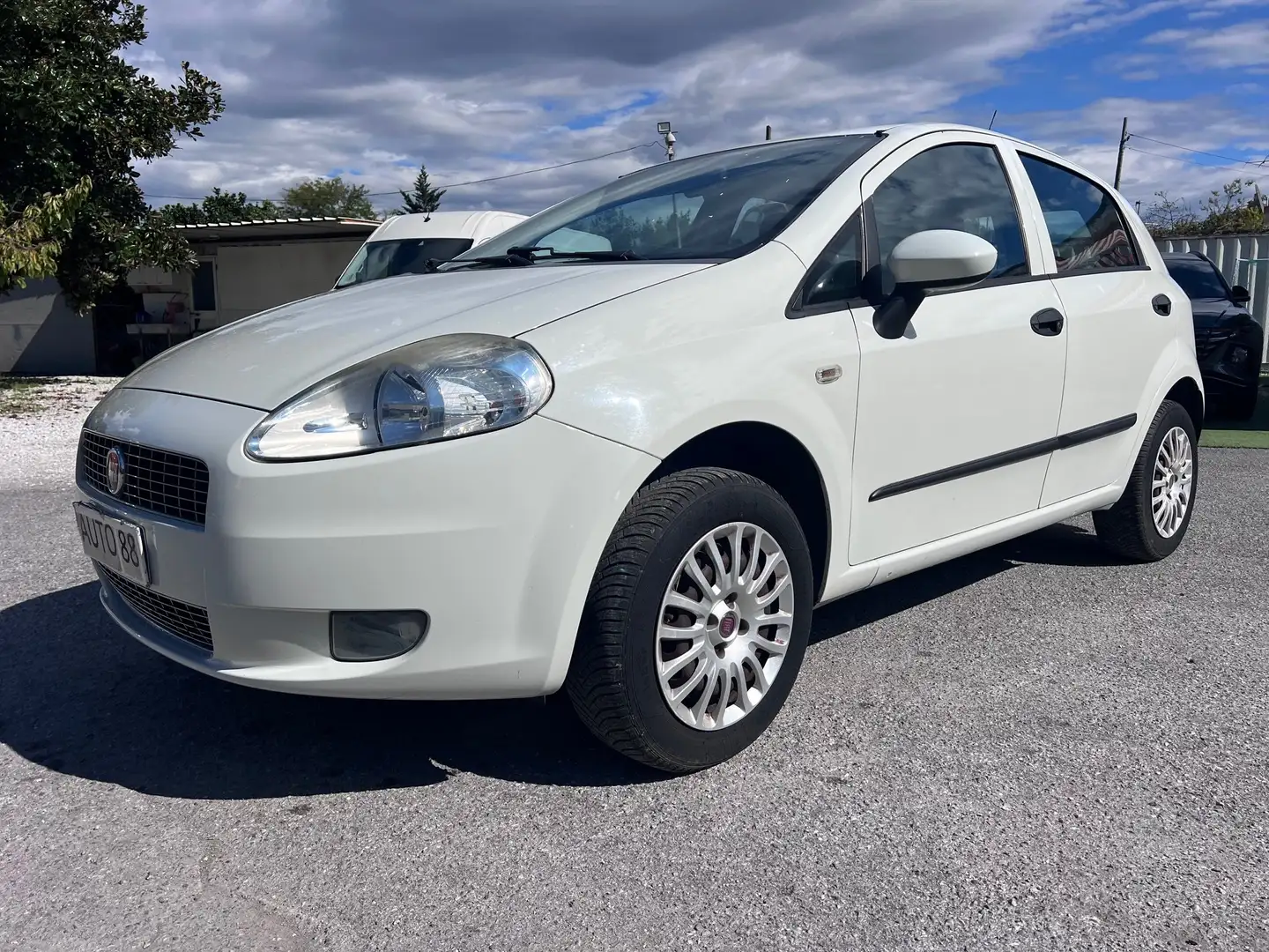 Fiat Punto Evo Bianco - 1