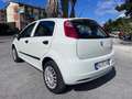 Fiat Punto Evo Bianco - thumbnail 12