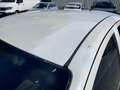 Fiat Punto Evo Bianco - thumbnail 3