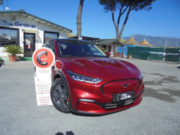 Mach-e standard range rwd 269cv auto