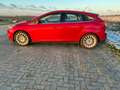 Ford Focus 1.6 TI-VCT First Edition Rood - thumbnail 7