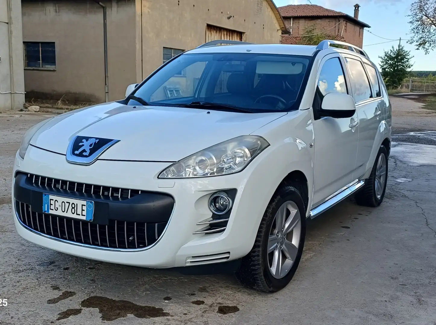 Peugeot 4007 2.2 hdi 16v Feline E5 - 1