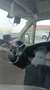 Dangel Boxer 4 x 4 Weiß - thumbnail 6
