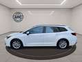 Toyota Corolla Sport 1.8 140ch - 04/2024 100 Kms Touring Dynamic  Weiß - thumbnail 18