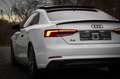 Audi A5 2.0 TFSI quattro S-Line /Pano/Ambiente/Leder Weiß - thumbnail 4