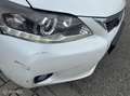 Lexus CT 200h Business Edition Wit - thumbnail 12