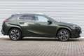 Lexus UX 250h Executive President Schuifdak Groen - thumbnail 3