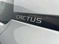 Citroen C4 Cactus FEEL ES 110 Grijs - thumbnail 9