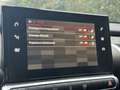 Citroen C4 Cactus FEEL ES 110 Grijs - thumbnail 28