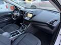 Ford Kuga 1.5TDCi Auto S&S ST-Line 4x2 120 Gris - thumbnail 16