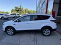 Ford Kuga 1.5TDCi Auto S&S ST-Line 4x2 120 Gris - thumbnail 3