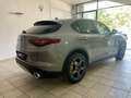Alfa Romeo Stelvio Stelvio 2.2 t Executive Q4 210cv auto my19 Grigio - thumbnail 4