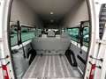 Ford Transit BUS H3+L3 9.Stz Klima Tempomat 1.HAND Bianco - thumbnail 13