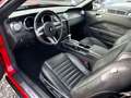 Ford Mustang V6 Premium Rot - thumbnail 10