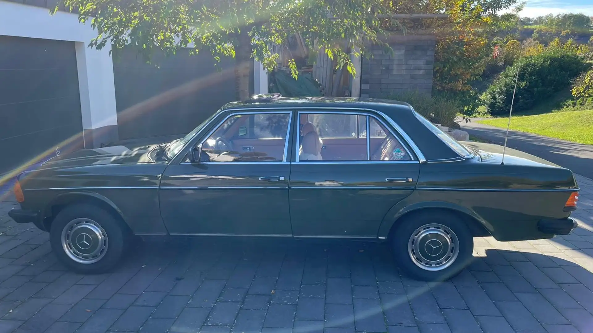 Mercedes-Benz Baureihe 123 Baureihe 123 230 E Zelená - 2