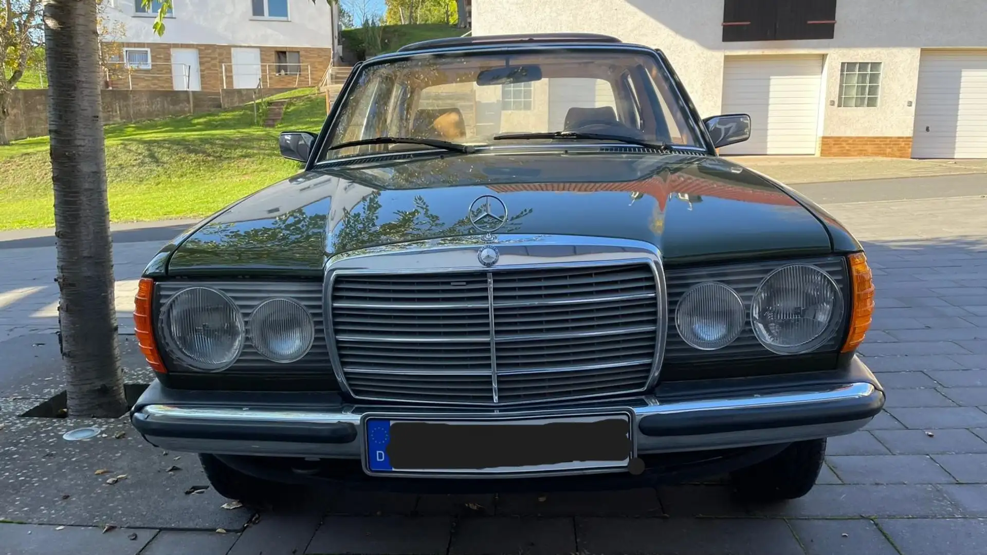 Mercedes-Benz Baureihe 123 Baureihe 123 230 E Zelená - 1
