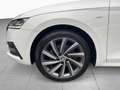 Skoda Octavia Combi Tour 2.0TDI DSG Navi LED EPH GRA Bianco - thumbnail 8