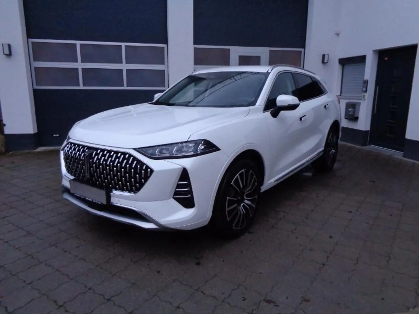 GWM WEY 05 Premium mit AHK schwenkbar Wit - 1