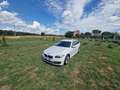 BMW 520 520d Touring xdrive Luxury 190cv auto Bianco - thumbnail 12