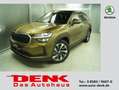 Skoda Kodiaq Selection 2.0 TDI 4x4 DSG*AHK*360*NAV* Goud - thumbnail 1