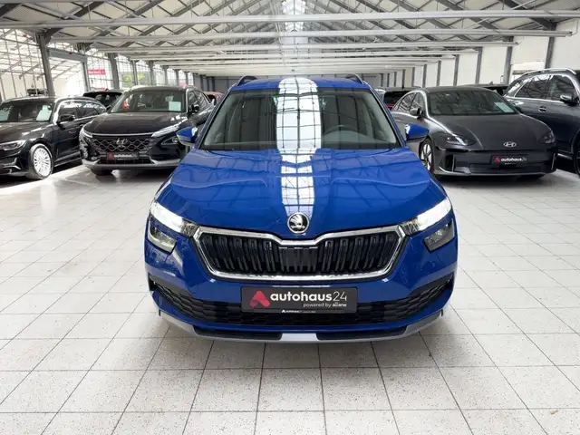 Skoda Kamiq view 2