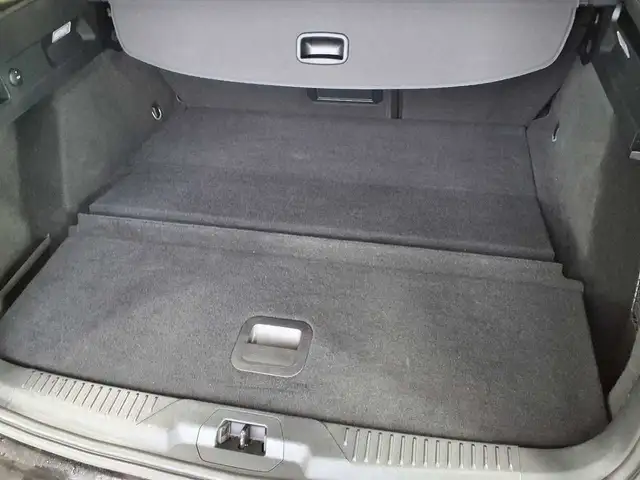 Ford Focus view 15