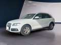 Audi Q5 2.0 TDI 140kW Business S tronic Blanco - thumbnail 1