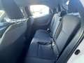 Toyota Yaris Yaris 1.5h Business 5p 115cv *Promo SD 2026* Weiß - thumbnail 15
