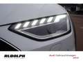 Audi A4 allroad quattro 40 TDI S tronic Matrix Leder AHK A Weiß - thumbnail 27