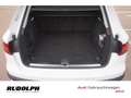 Audi A4 allroad qu. 40 TDI S-tronic Matrix Leder AHK ACC Navi Spor White - thumbnail 10