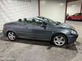 Peugeot 307 CC 2.0-16V Cabrio/Clima Gris - thumbnail 14