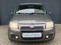 Fiat Panda 1.4 16V Sport 100HP 2.Hand Klima 6-Gang HU Gris - thumbnail 2