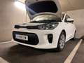Kia Rio Rio 1,25 MPI Titan ISG Titan Weiß - thumbnail 3