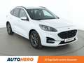 Ford Kuga 2.0 TDCi EcoBlue ST-Line X*NAVI*ACC*HUD* Weiß - thumbnail 8