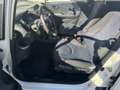 Honda Jazz 1.2 S**2.HAND +ALLWETTER+RADIO/CD** Weiß - thumbnail 10