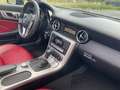Mercedes-Benz SLK 250 SLK 250 cdi (be) Sport Grigio - thumbnail 8