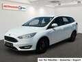 Ford Focus Kombi 1.5 T AT AAC Navi PDC Tempo Weiß - thumbnail 1