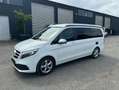 Mercedes-Benz Marco Polo 250 d Wit - thumbnail 2