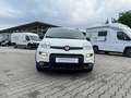Fiat New Panda City Life 1.0 *Klima Sitzh. NS PDC DAB* Alb - thumbnail 6