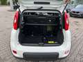 Fiat New Panda City Life 1.0 *Klima Sitzh. NS PDC DAB* Alb - thumbnail 7
